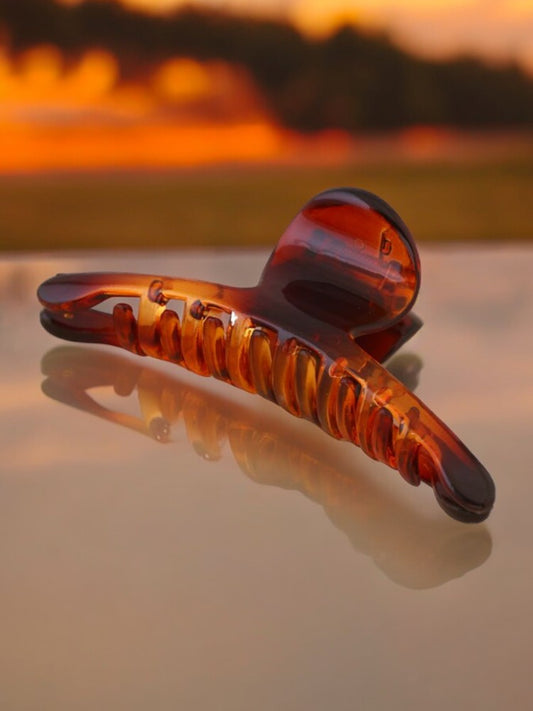 Multicolor Snail Claw Clip